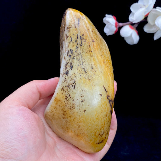 和田玉-洒金皮带黑皮青白肉籽料原石（525.3克）