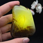 和田玉秋梨皮籽料手把件（102.5g）