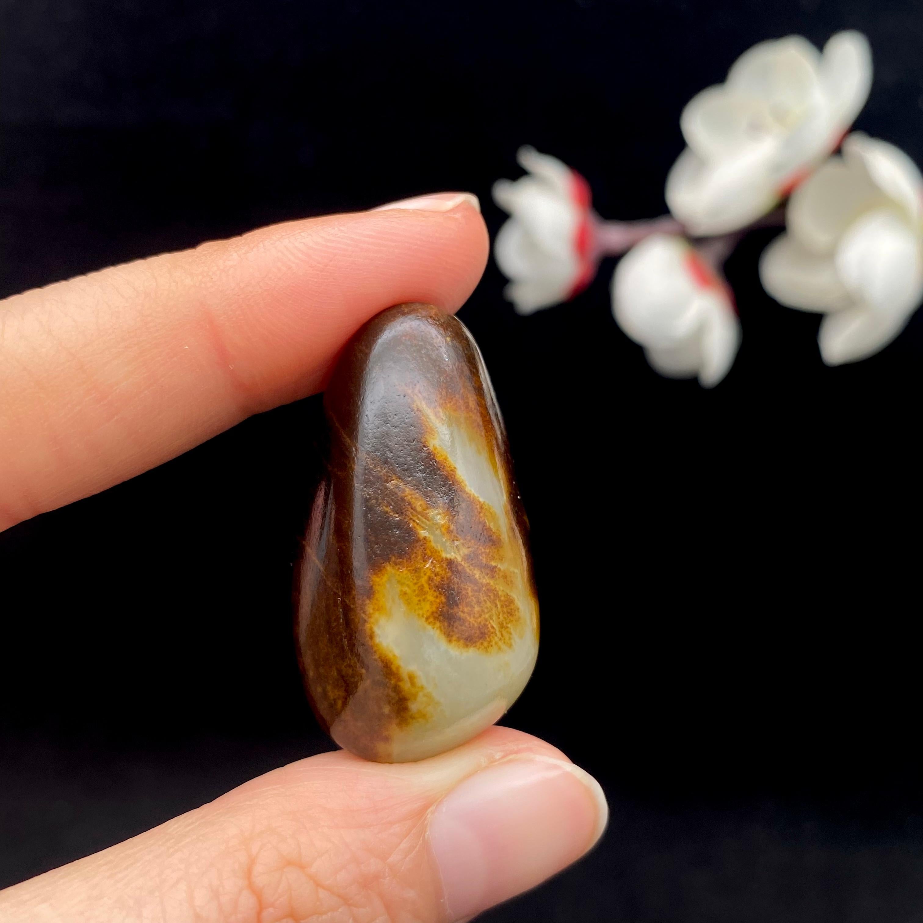 和田玉秋梨黑皮籽料（16.5g）