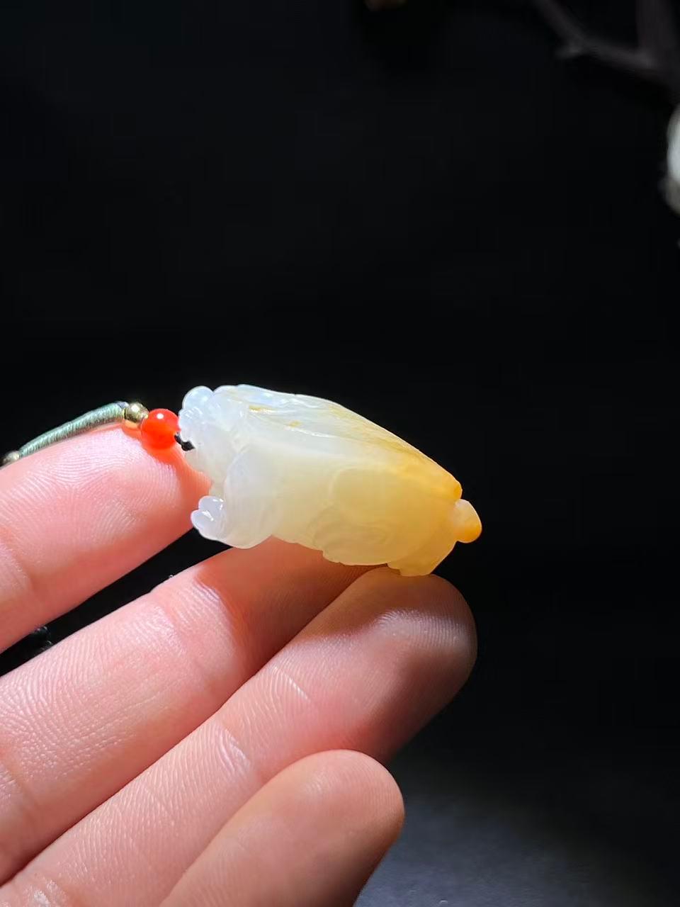 和田玉籽料龙龟（14.7g）