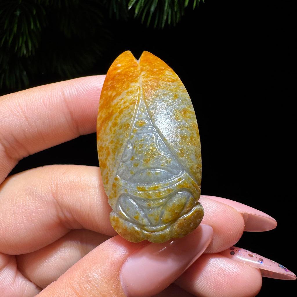 和田玉籽料青花蝉（21.0g）