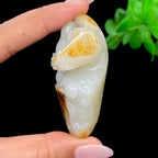 和田玉籽料【马上封侯】手把件（64.7g）