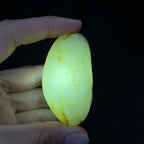 和田玉秋梨皮籽料手把件（61.8g）