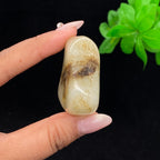 和田玉秋梨皮籽料手把件（73g）