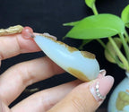 和田玉且末料羊脂玉观音挂件（46.1g）