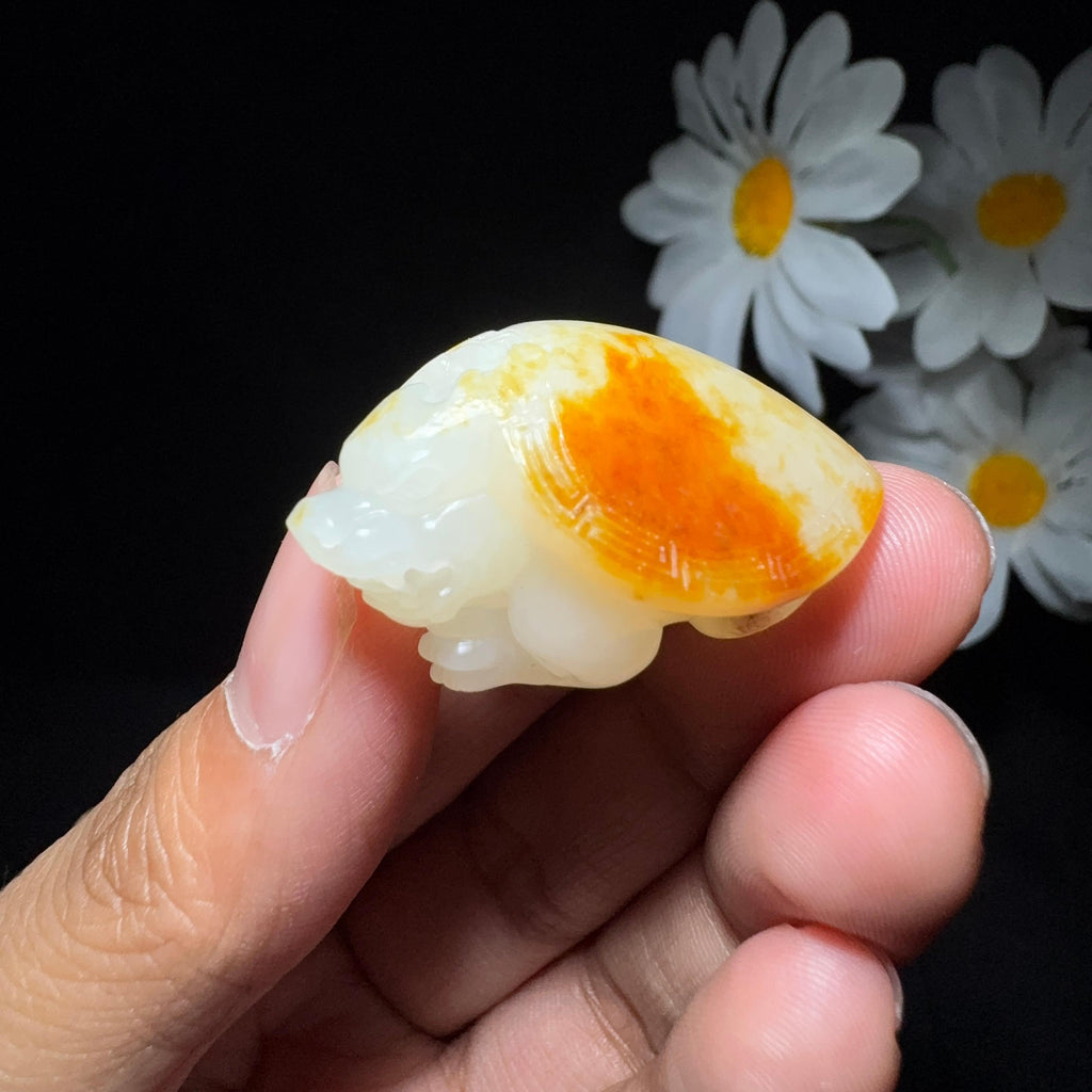 和田玉籽料挂件龙龟（14.5g）