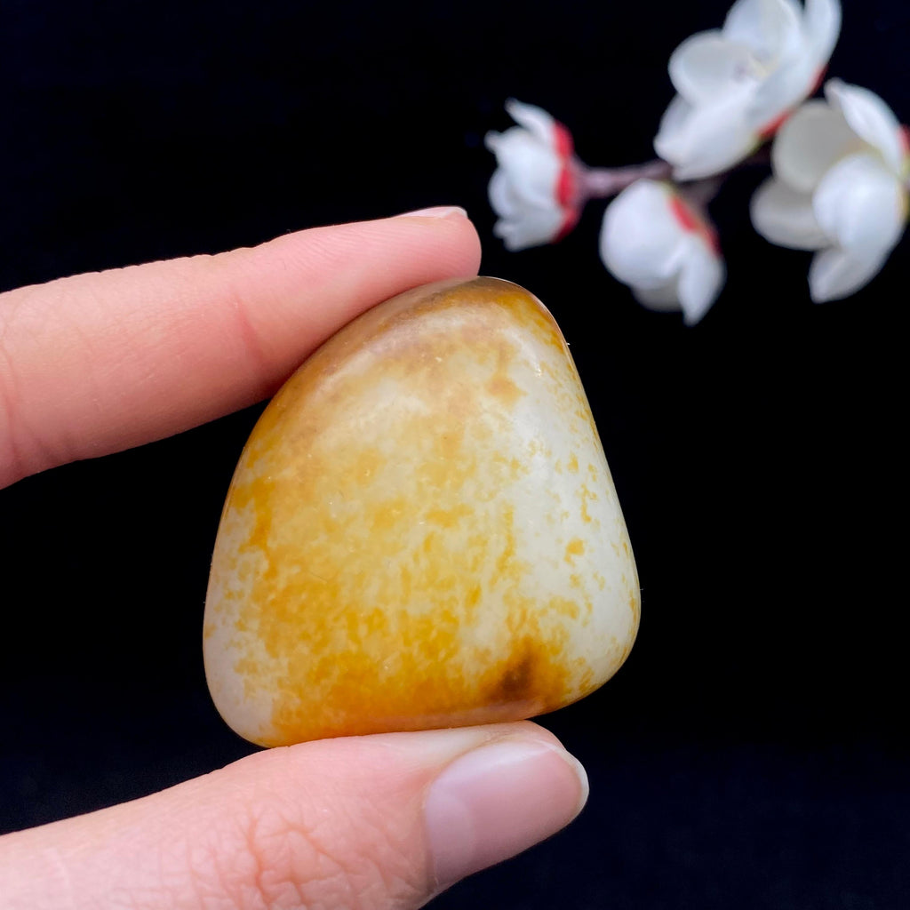 和田玉聚黄皮籽料（43.2g）