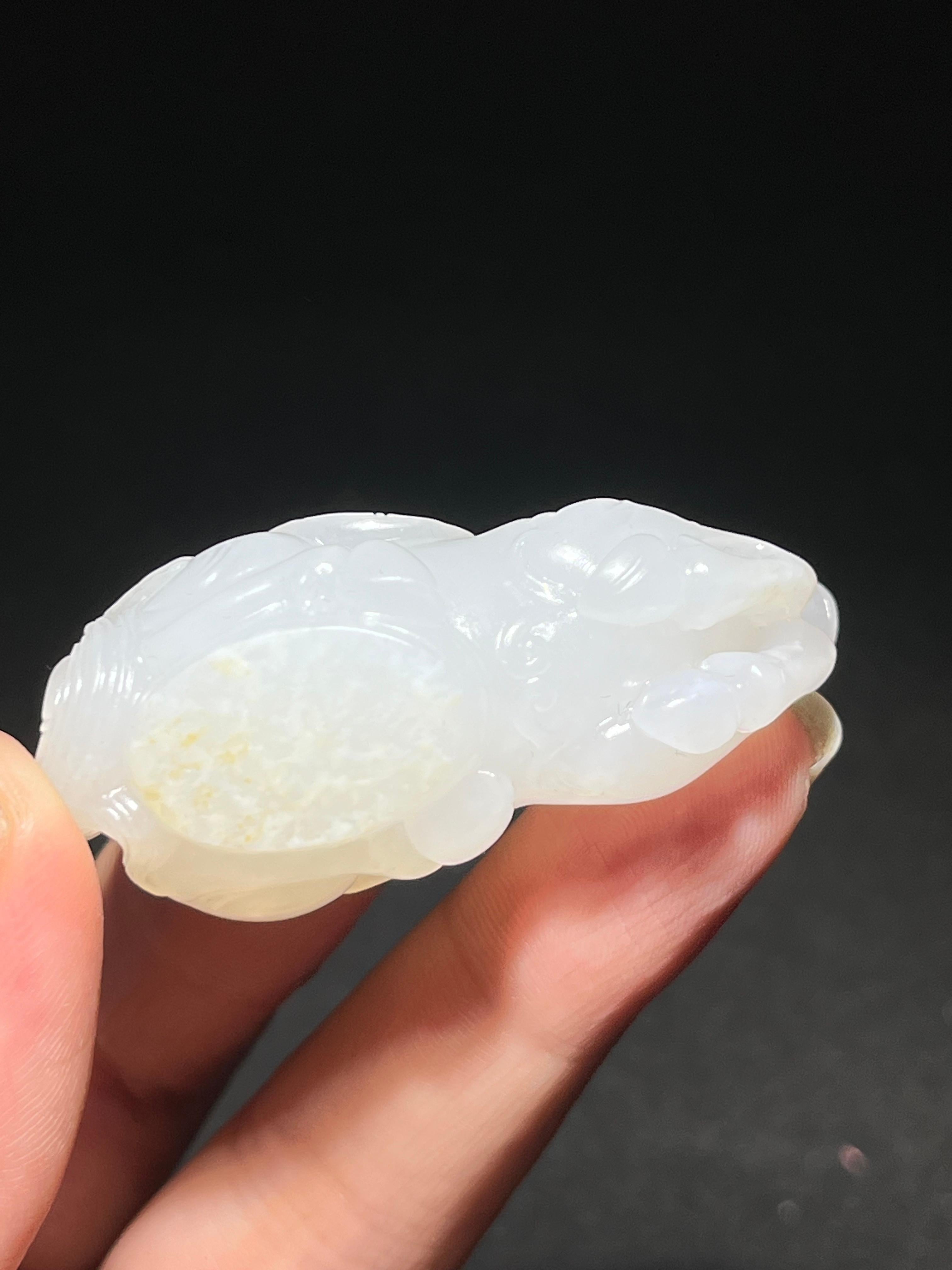 珍品 和田白玉 仔玉（仔料） トップ「蝉」 珍品 和田白玉 仔玉（仔料） トップ「蝉」