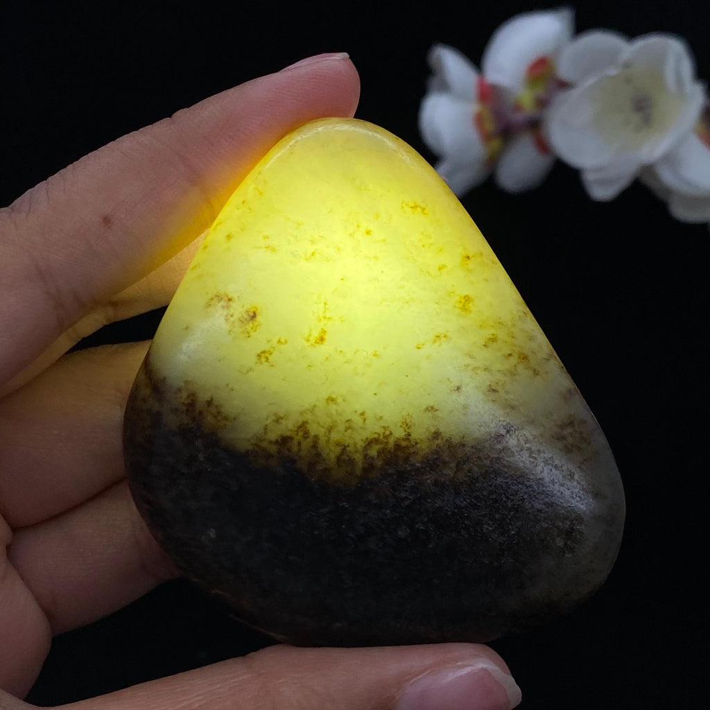 和田玉秋梨黑皮青花底籽料手把件（93.7g）