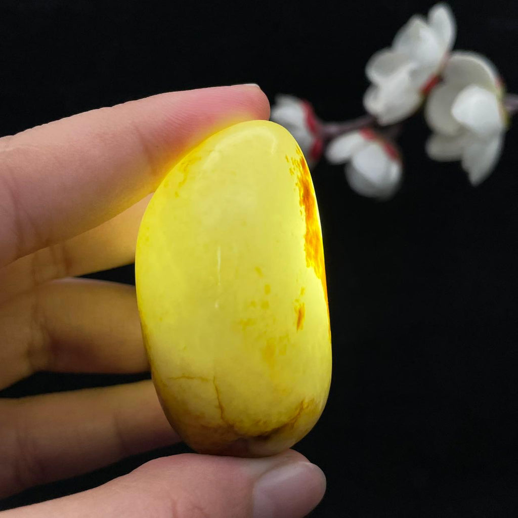 和田玉聚黄皮籽料（53.9g）