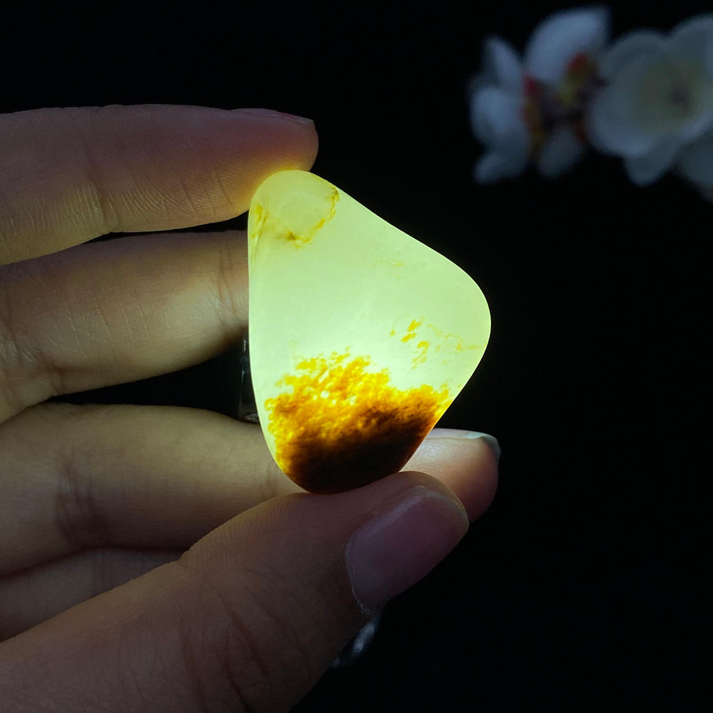 和田玉聚黄皮籽料（20.9g）