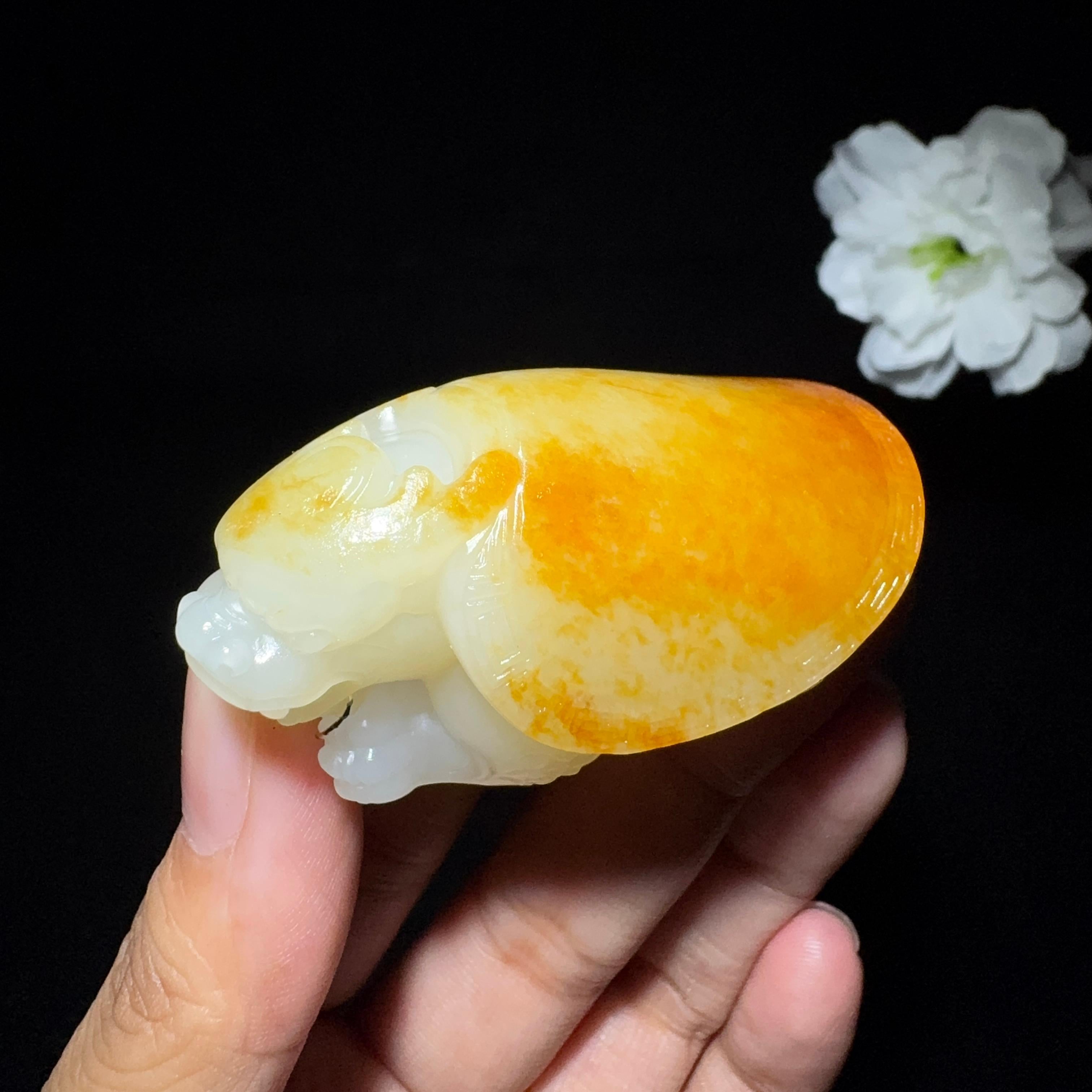 和田玉籽料龙龟挂件（62.4g）