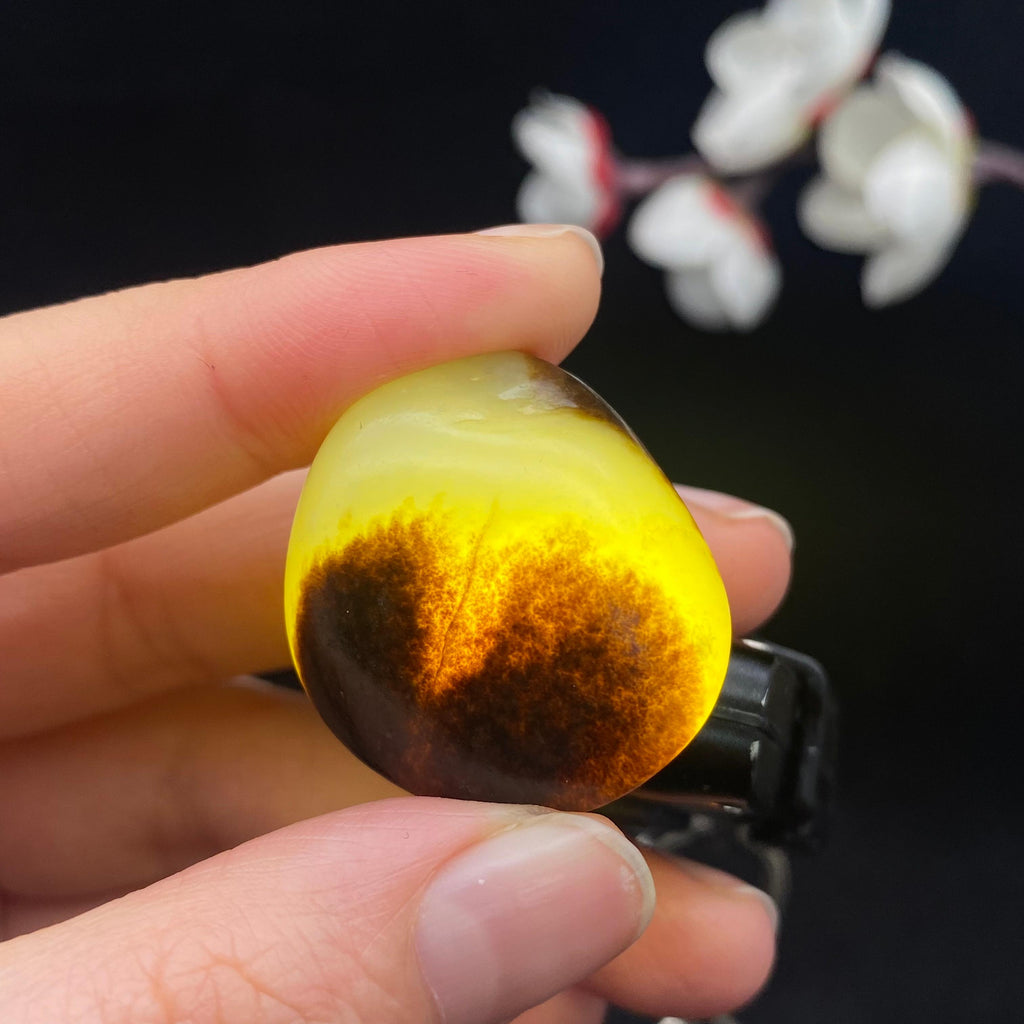 和田玉黑秋梨皮籽料吊坠籽（14.6g）