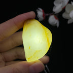 和田玉聚黄皮籽料挂件（27.5g）