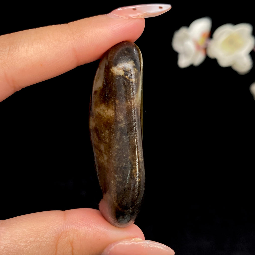 和田玉秋梨黑皮籽料（56.5g）