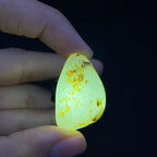 和田玉洒金皮籽料原石（11.6g）