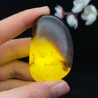 和田玉聚黑皮籽料原石（43.8g）