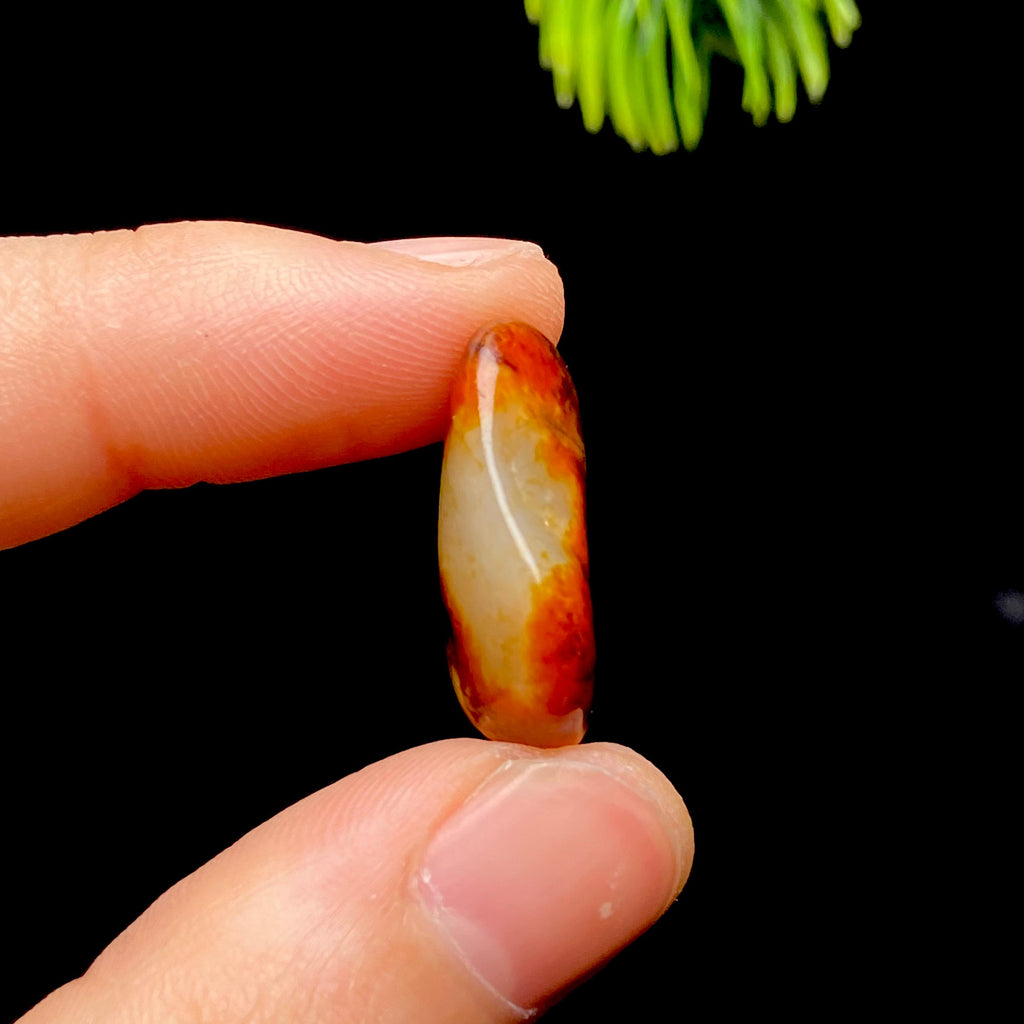 和田玉红皮籽料（3.9g）