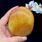 和田玉聚红皮籽料（229.4g）