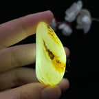 和田玉黄皮籽料（28.4g）