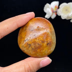 和田玉聚黄皮籽料手把件（62.6g）