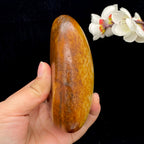 和田玉聚红皮籽料（667.4g）