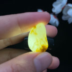 和田玉秋梨皮籽料吊坠籽（5.8g）