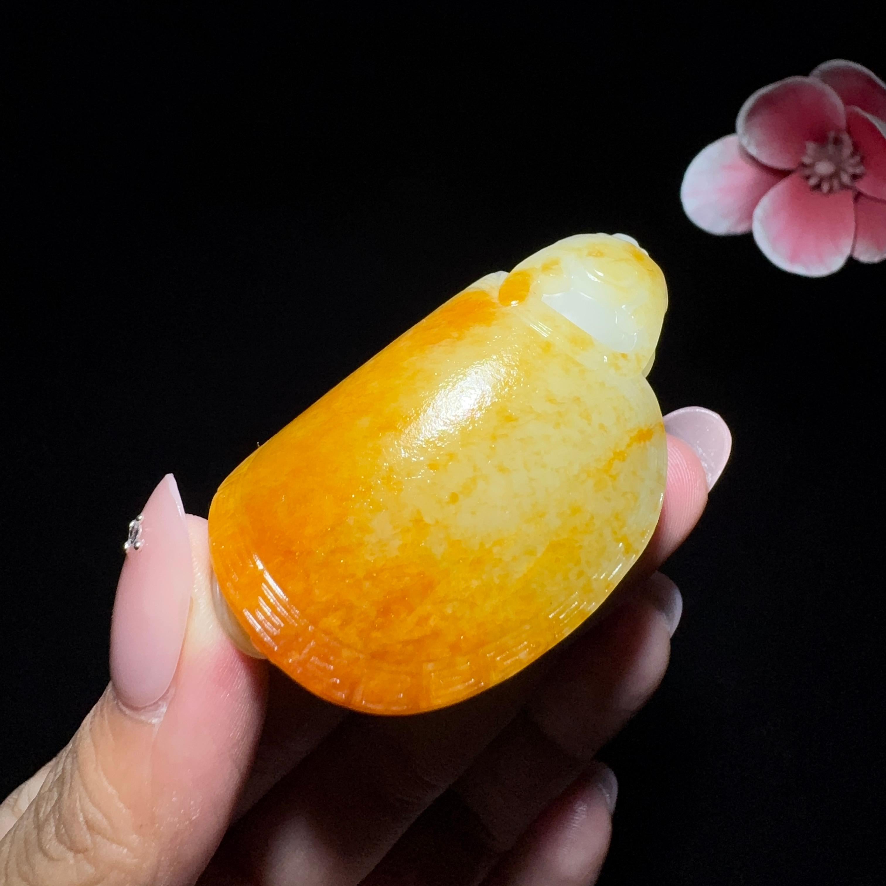 和田玉籽料龙龟挂件（62.3g）
