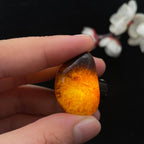 和田玉秋梨黄皮籽料吊坠籽（8.1g）
