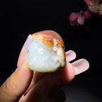 和田玉籽料挂件龙龟（50.2g）