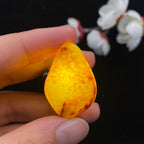 和田玉洒金皮籽料（12.1g）