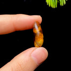 和田玉红皮籽料（3.9g）