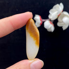 和田玉聚黄皮籽料（11.7g）