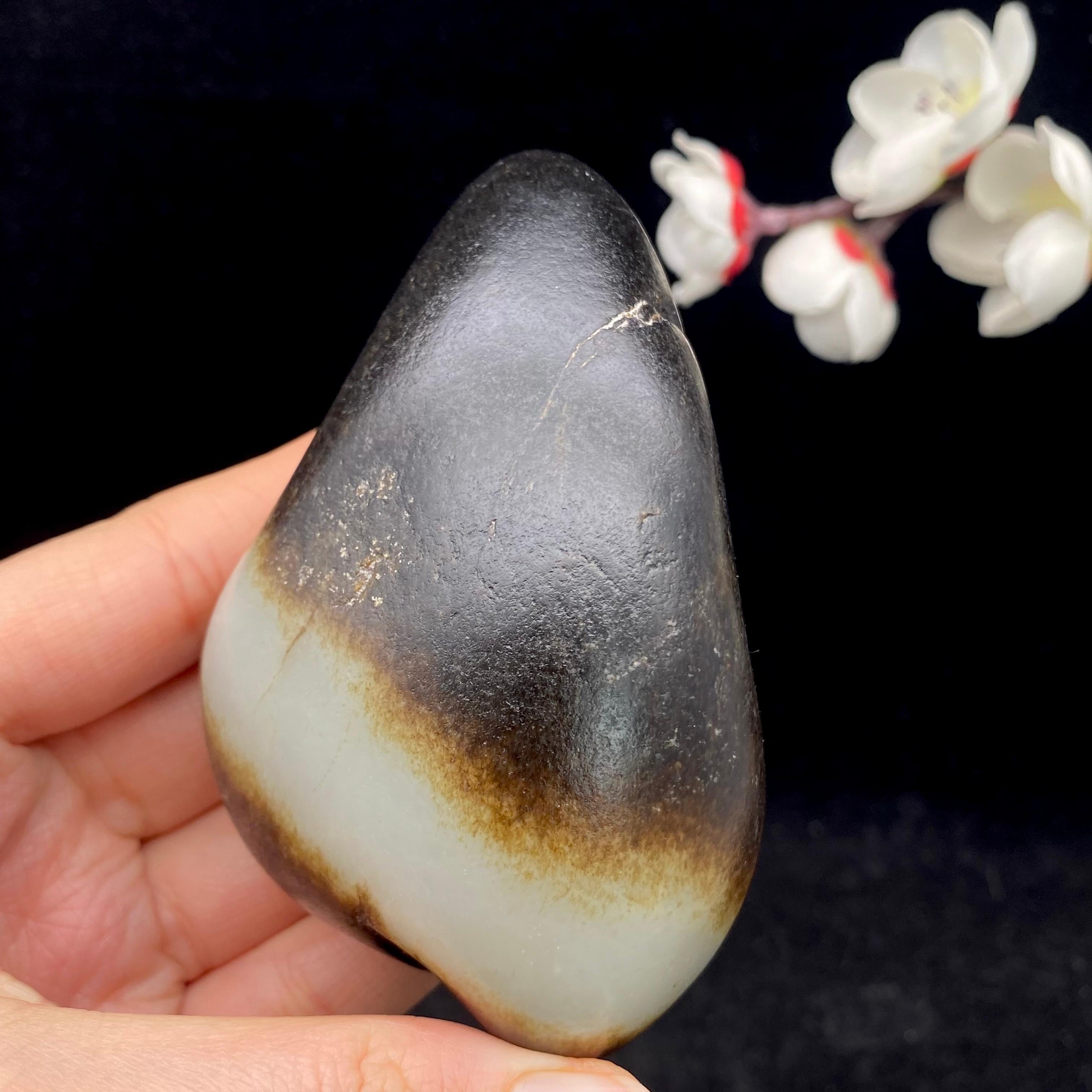 和田玉聚黑皮籽料（295.9g）