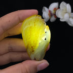 和田玉-籽料【螳螂捕蝉 黄雀在后】（37.1g）