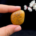 和田玉聚黄皮籽料挂件，（15.4g）
