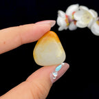 和田玉聚黄皮籽料吊坠籽（11.6g）