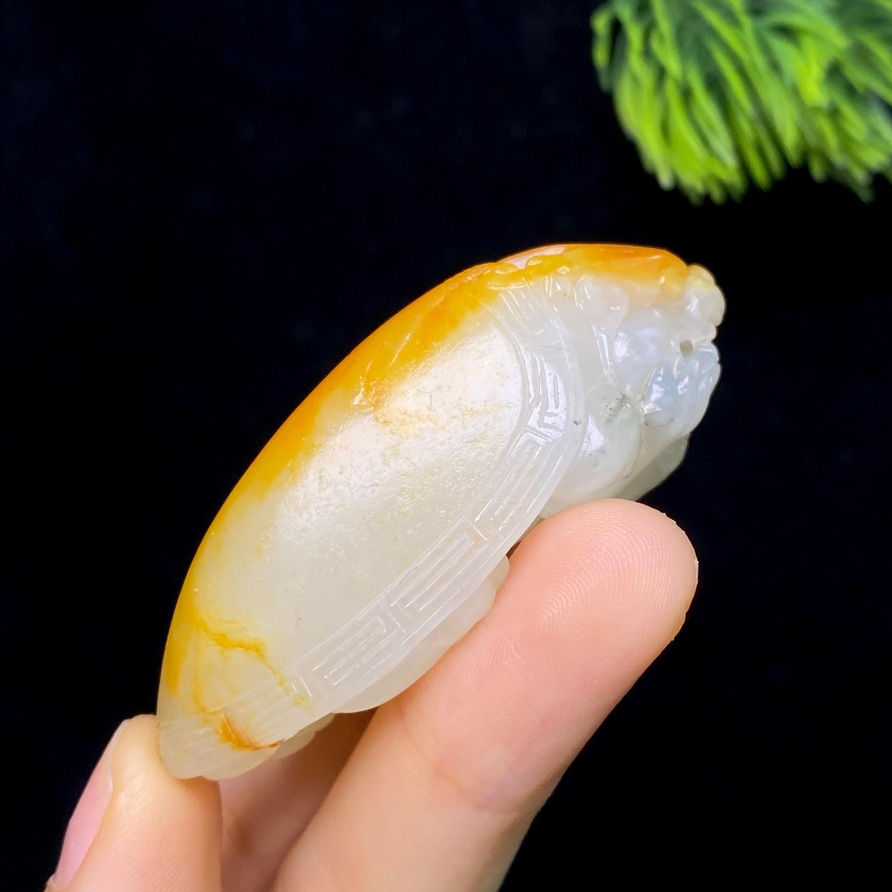 和田玉籽料龙龟（33.7g）