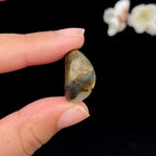 和田玉秋梨皮青花底籽料吊坠籽（7.1g）