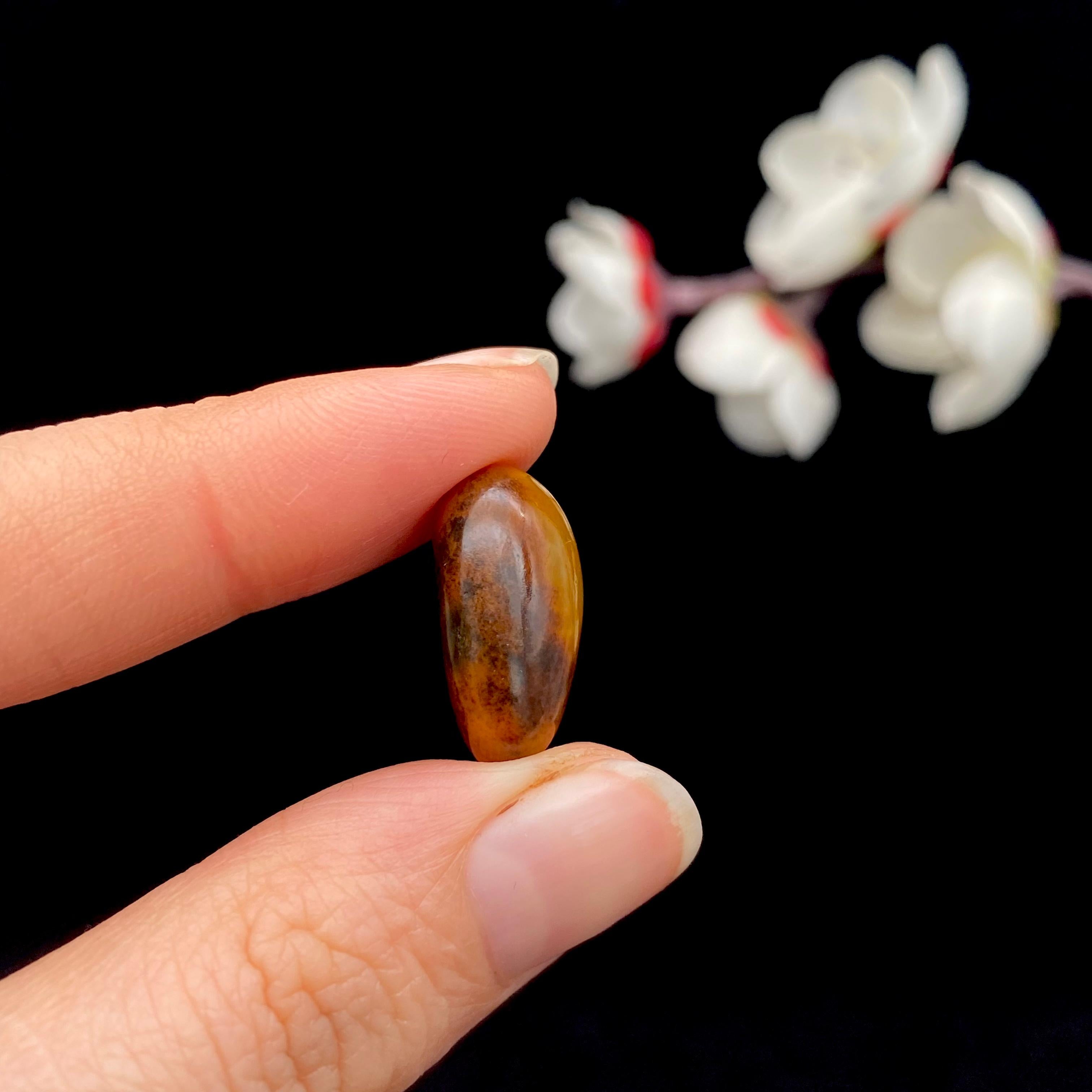 和田玉满黄皮籽料戒面籽（4.3g）