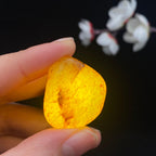 和田玉洒金皮籽料（12.6g）