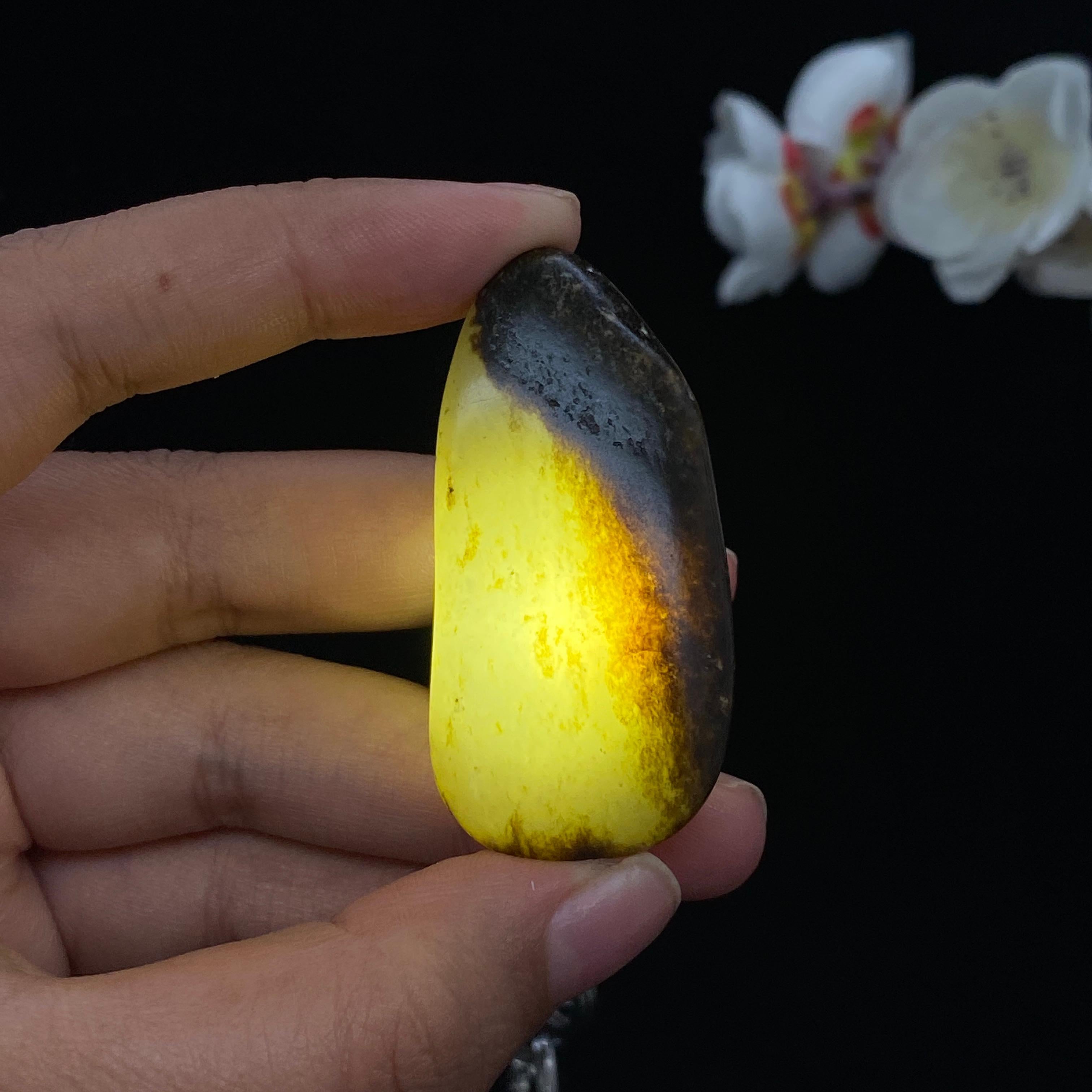 和田玉秋梨黑皮籽料（26.1g）