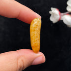 和田玉满黄皮籽料（11.5g）