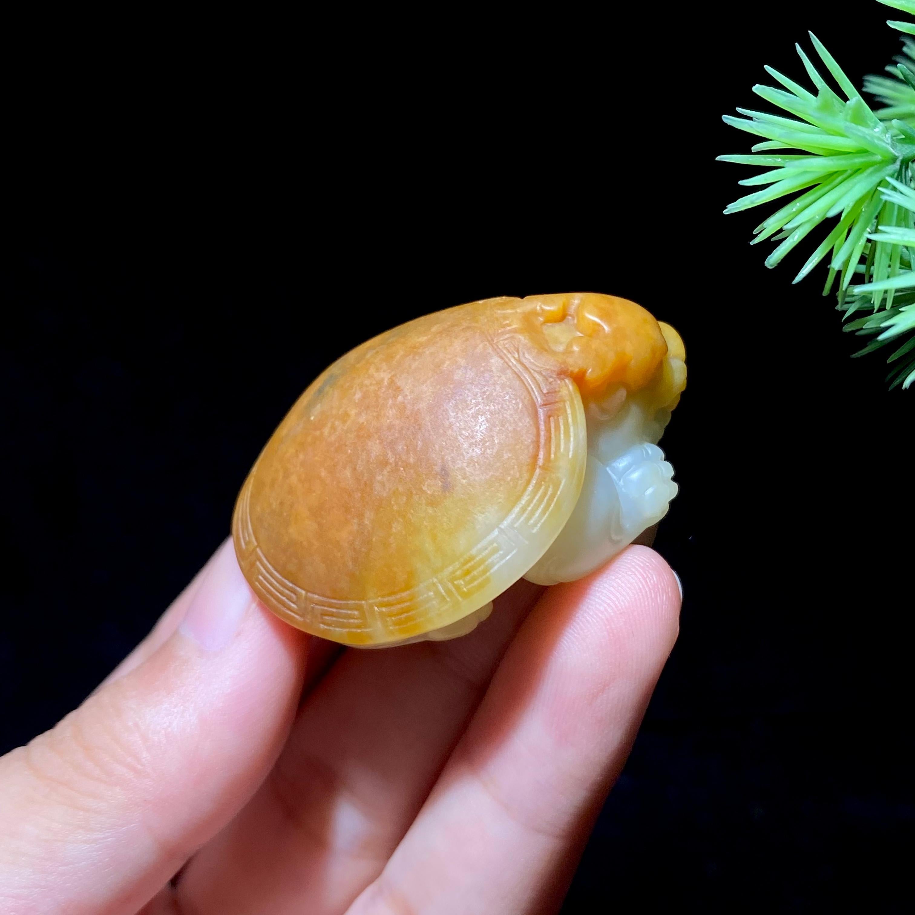 和田玉籽料龙龟（32.1g）