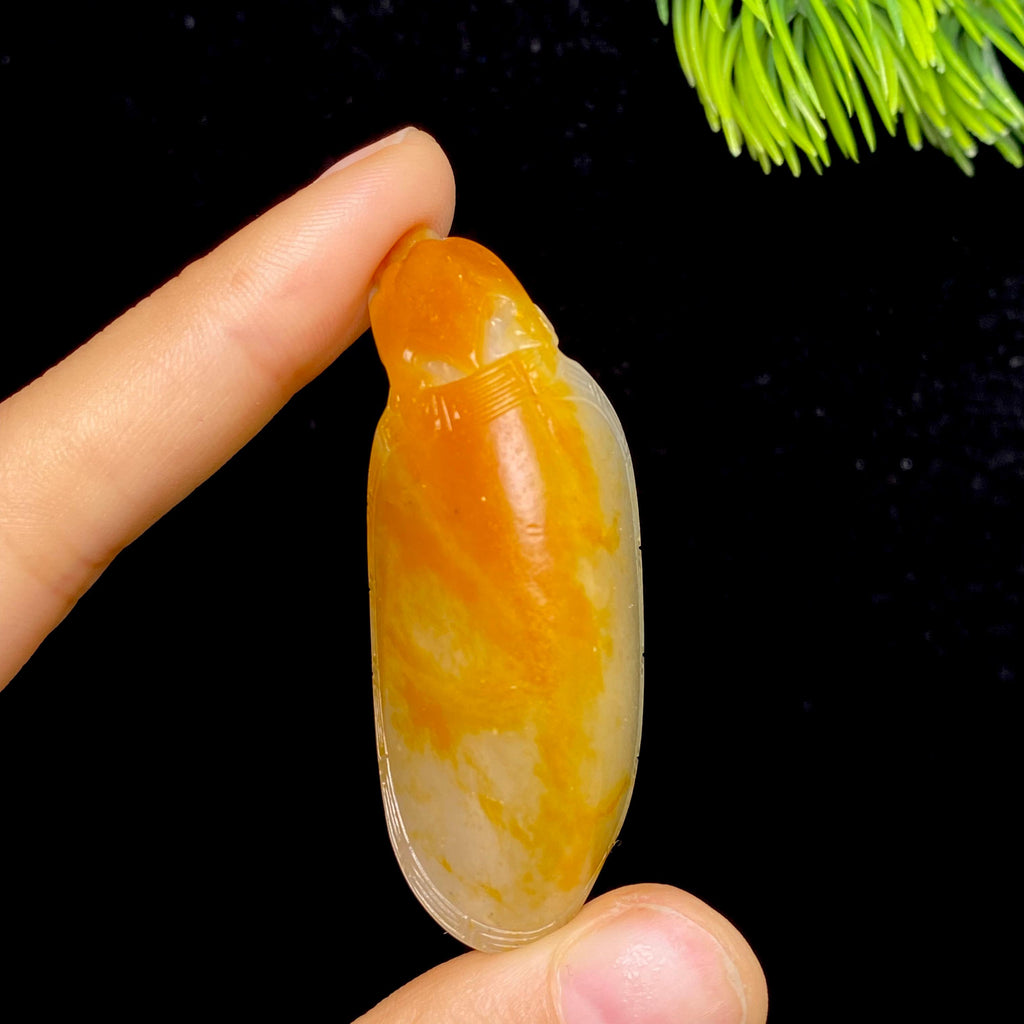 和田玉籽料龙龟（33.7g）