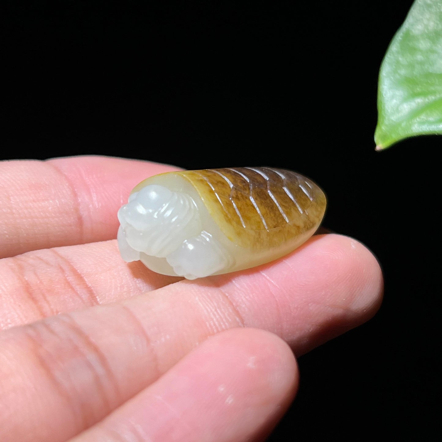 和田玉籽料秋梨皮玄龟挂件（11.6g）