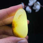和田玉秋梨皮籽料挂件（23.1g）