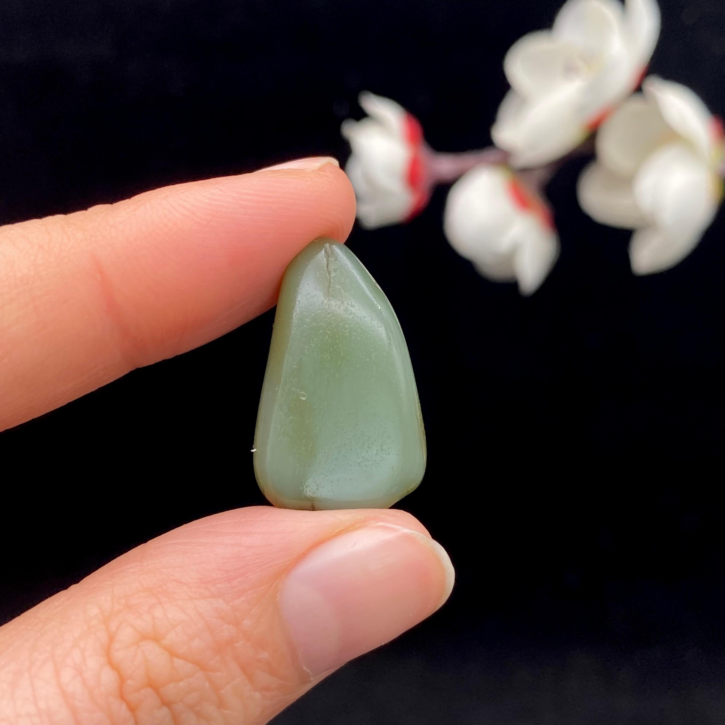 和田玉秋梨皮沙枣青籽料（4.8g）