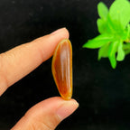 和田玉聚红皮籽料吊坠籽（10g）