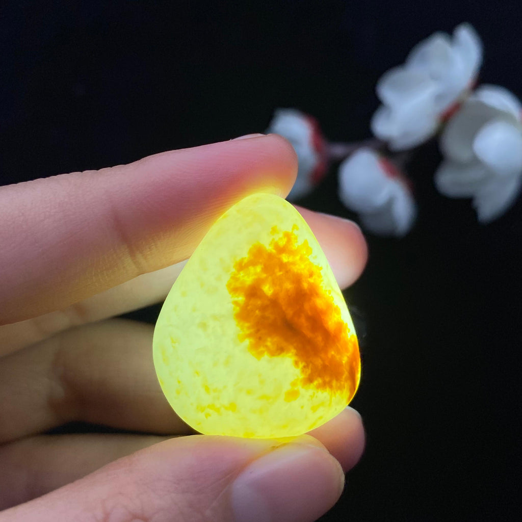 和田玉聚黄皮籽料吊坠籽（17.3g）